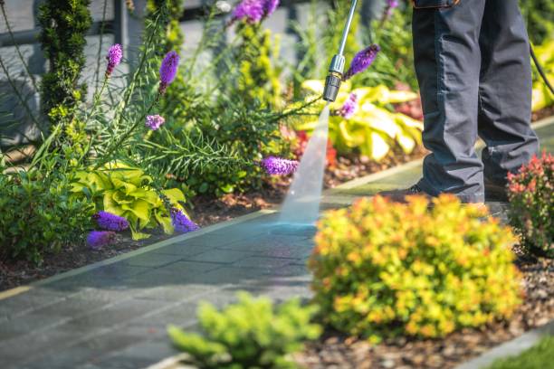 Best Pre-Holiday Cleaning  in Hanover Park, IL